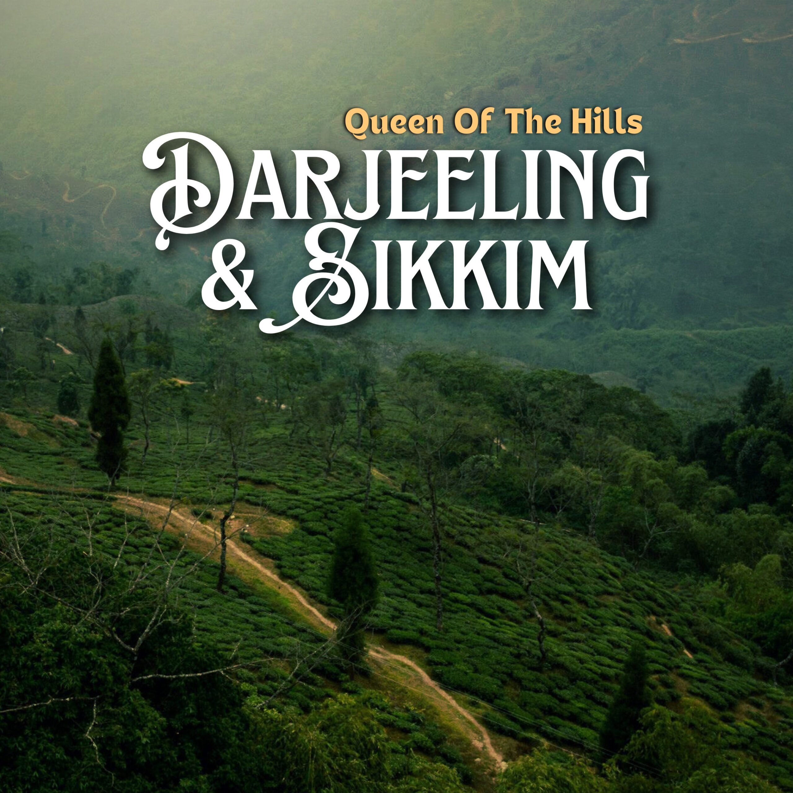 12_20250604_212801_0002