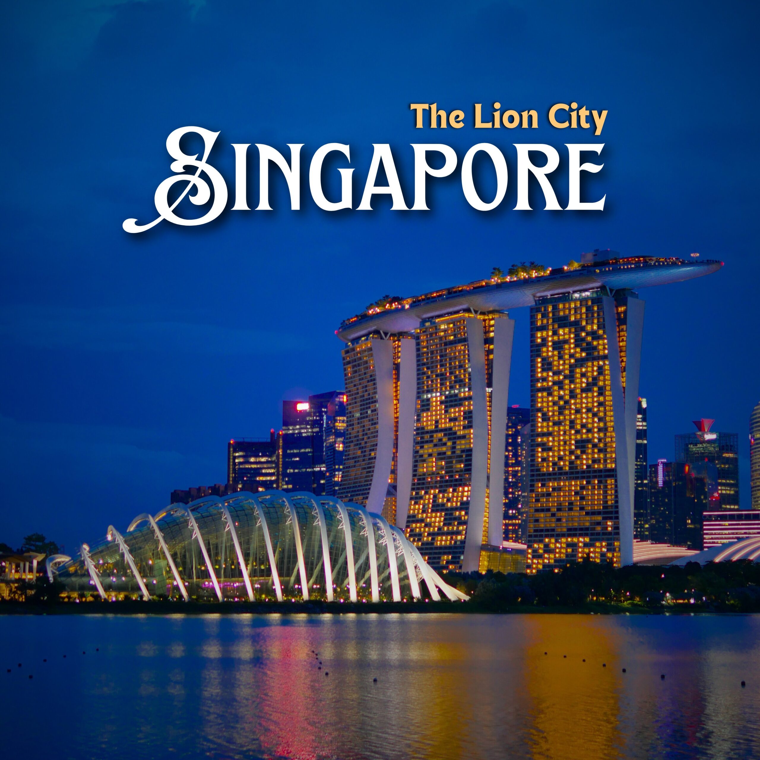 Web Development Promotion Instagram Post (32 x 32 in)_20250604_231650_0000