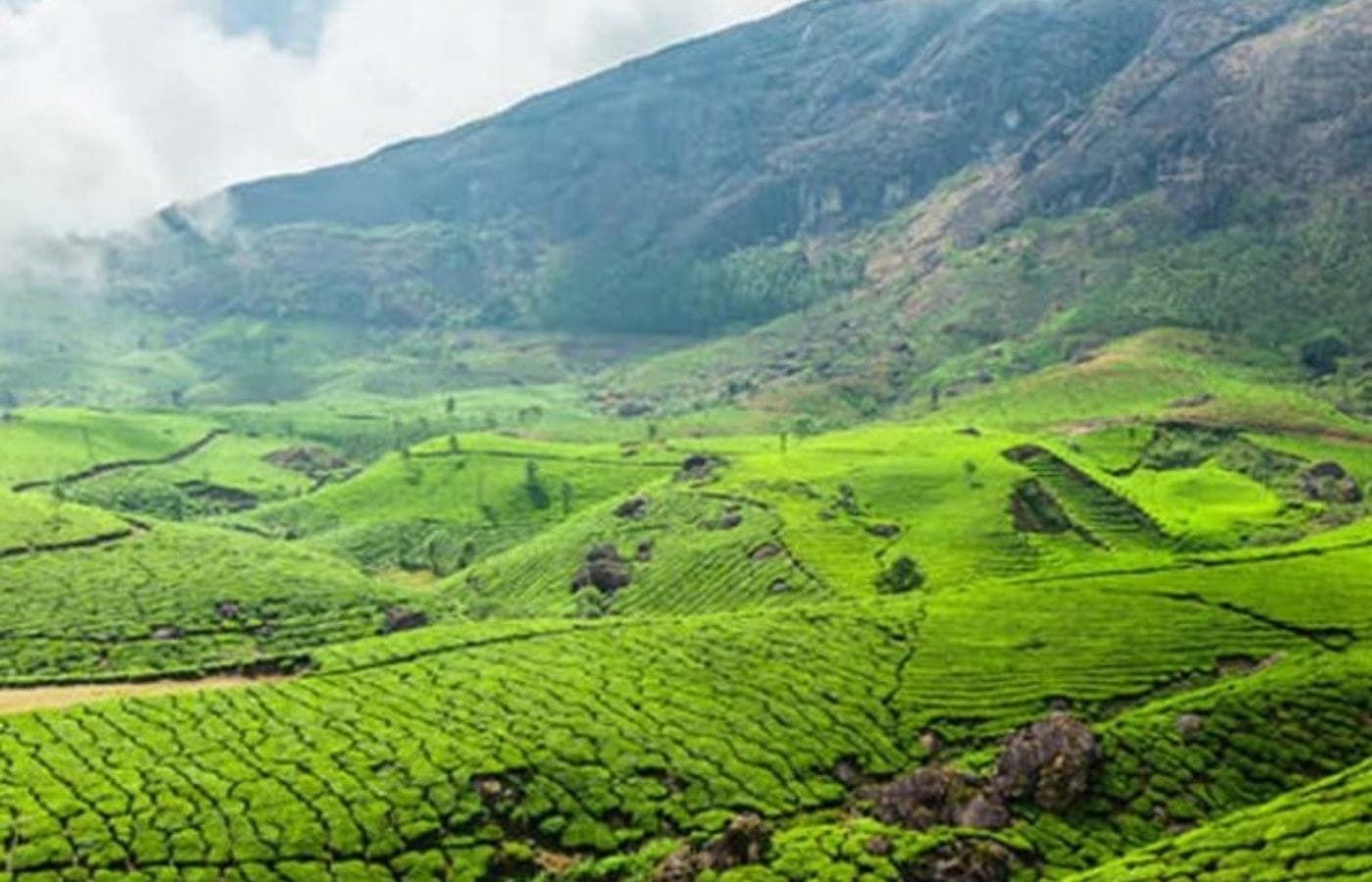 WhatsApp Image 2025-07-28 at 15.55.01 (2)