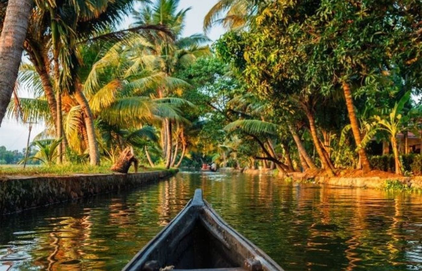 WhatsApp Image 2025-07-28 at 15.55.01