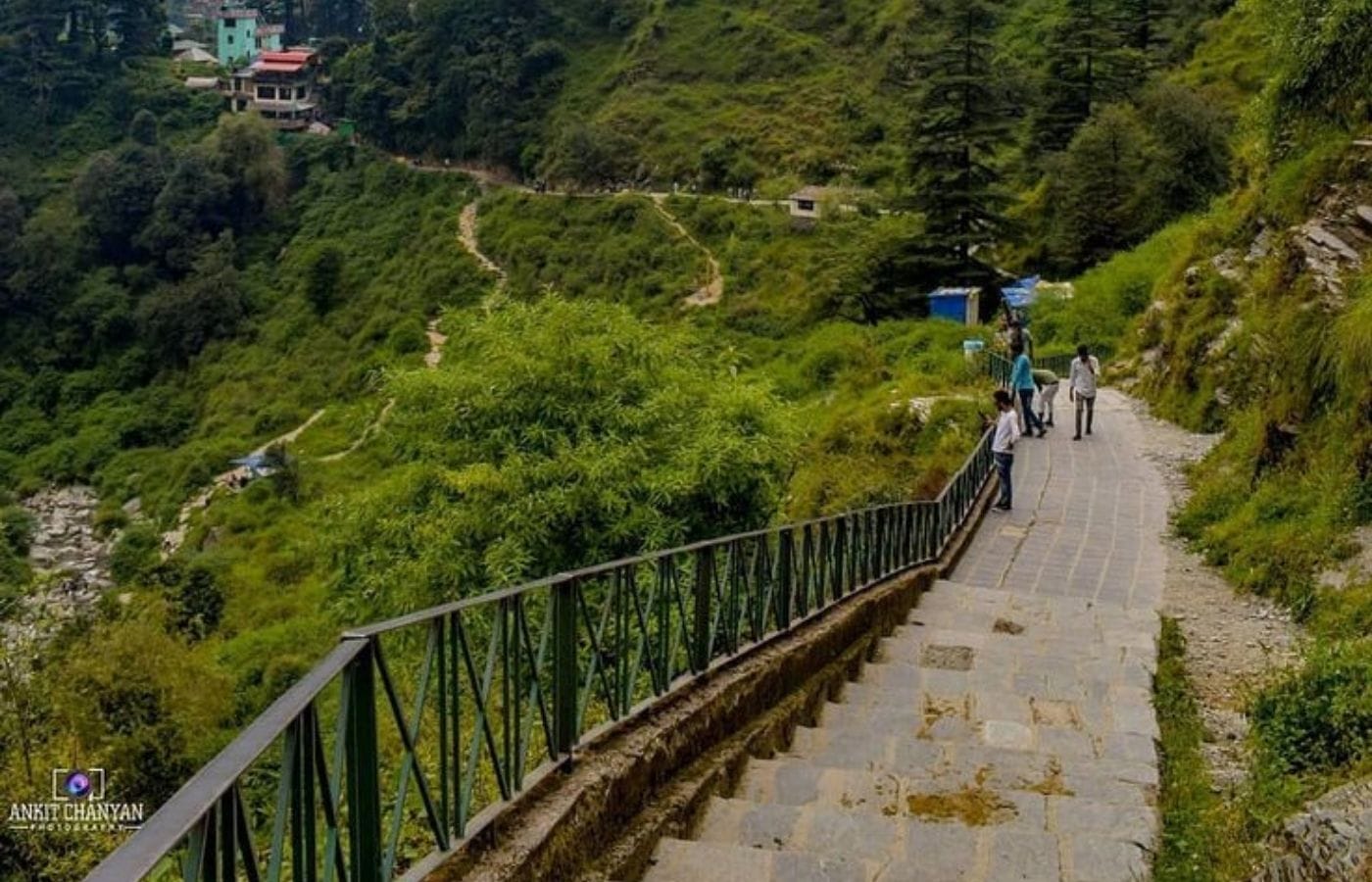 WhatsApp Image 2025-07-30 at 13.17.53 (1)