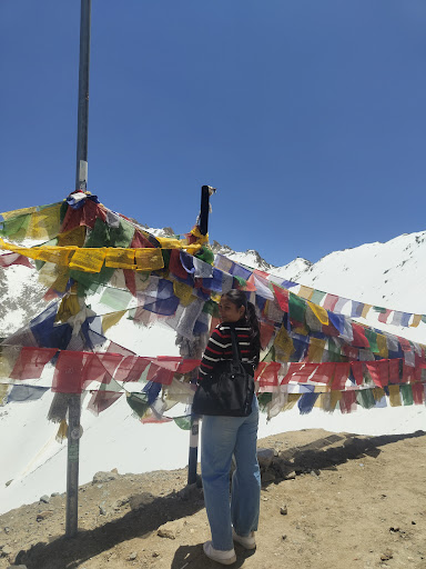 Photo from customer review