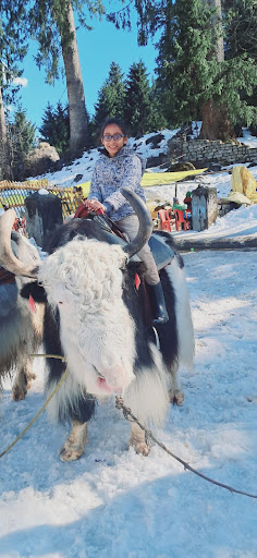 Photo from customer review